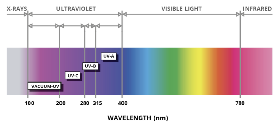 Electromagnetic Spectrum